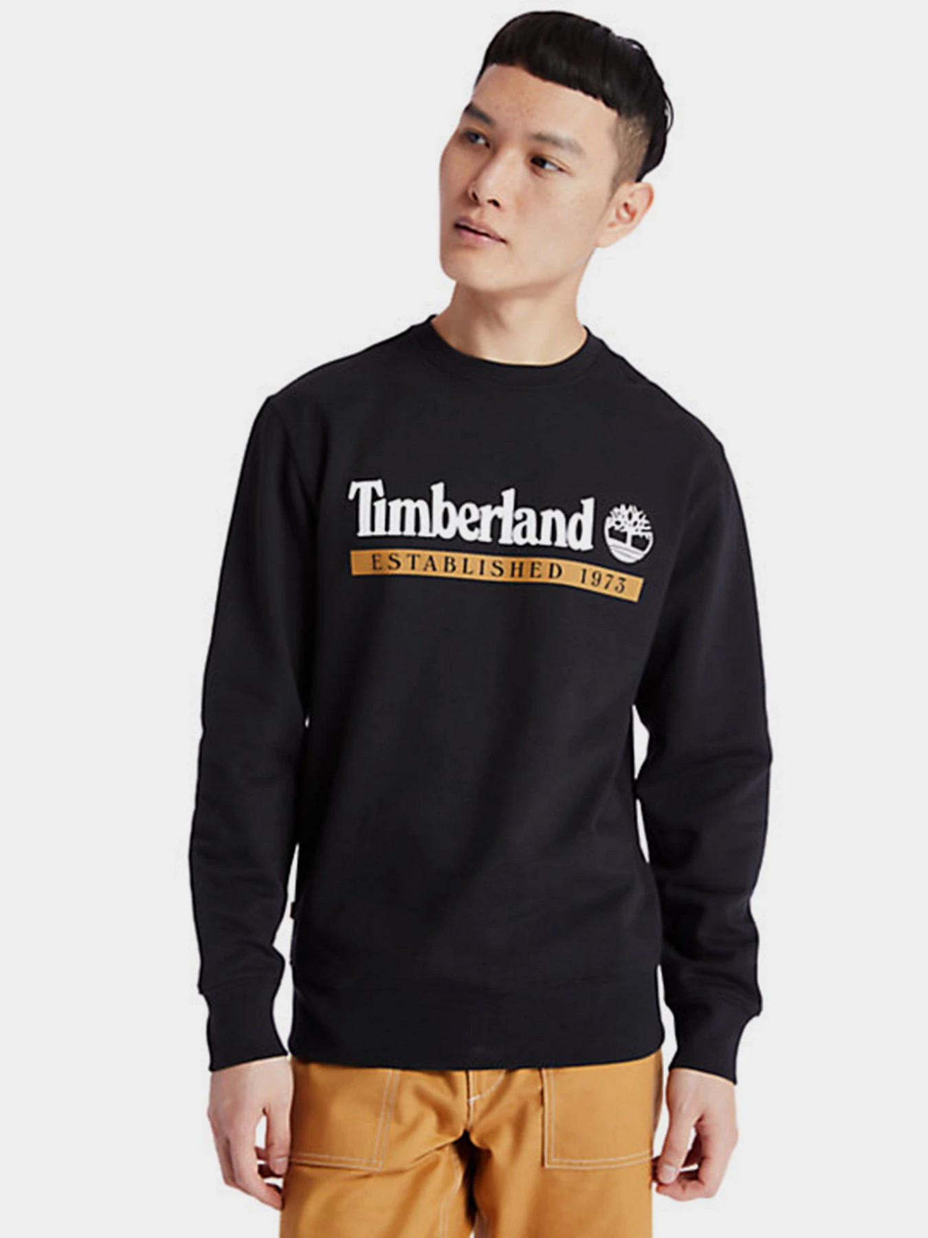 Худи и свитшоты Timberland Established 1973 Crew модель TB0A2AMHP56 Фото