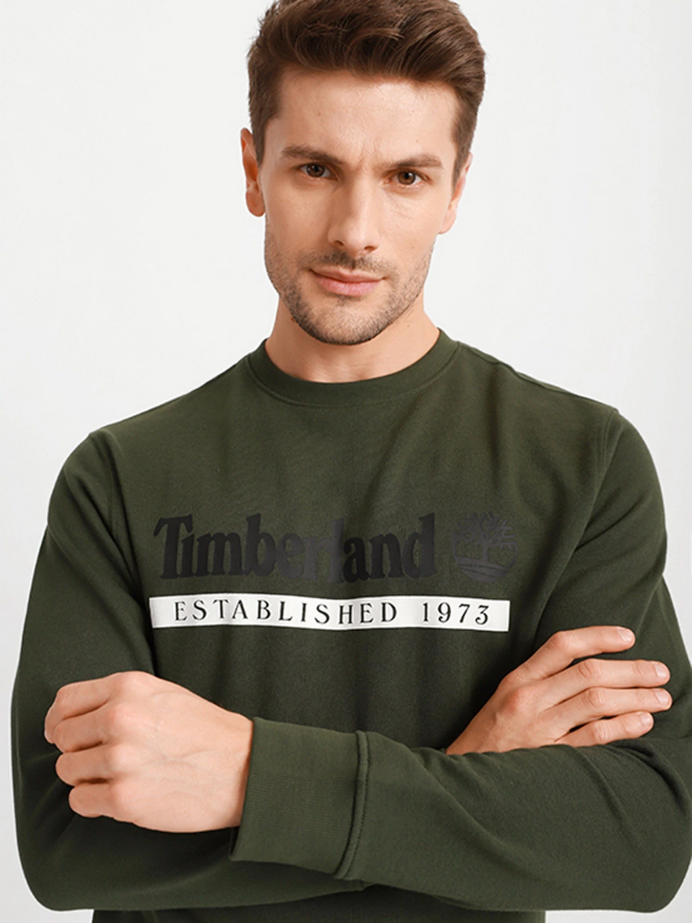 Худи и свитшоты Timberland Established 1973 Crew модель TB0A2AMHCC3 Фото