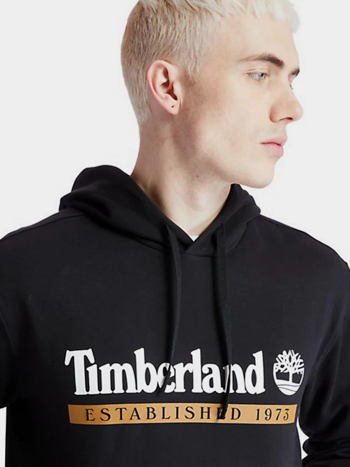 Худи и свитшоты Timberland Established 1973 модель TB0A2AMSP56 Фото