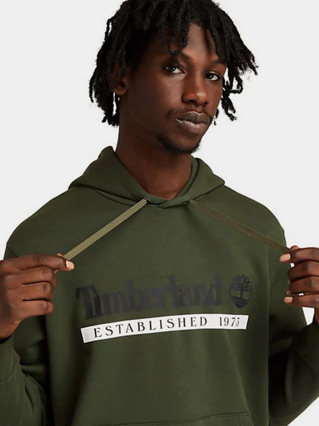 Худи и свитшоты Timberland Established 1973 модель TB0A2AMSCC3 Фото