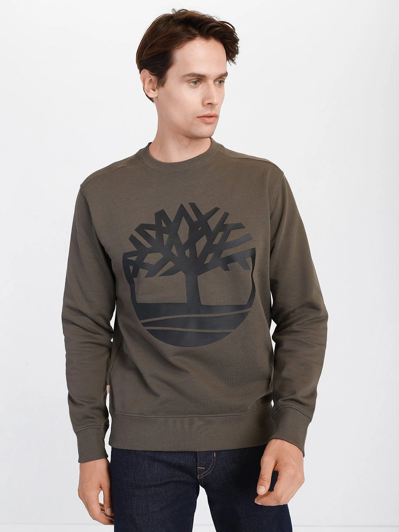 Худі та світшоти Timberland Core Logo модель TB0A2BJ8Z28 Фото