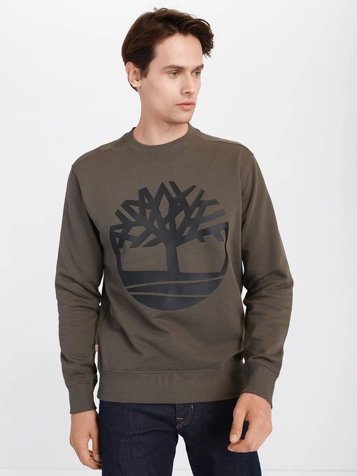 Худи и свитшоты Timberland Core Logo модель TB0A2BJ8Z28 Фото