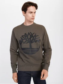 Худі та світшоти Timberland Core Logo модель TB0A2BJ8Z28 Фото