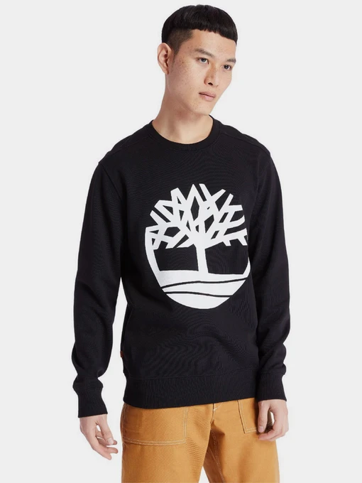 Худи и свитшоты Timberland Core Logo модель TB0A2BJ8N92 Фото
