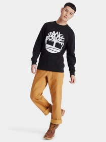 Худи и свитшоты Timberland Core Logo модель TB0A2BJ8N92 Фото