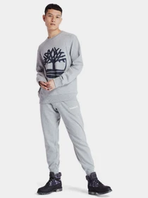Худи и свитшоты Timberland Core Logo модель TB0A2BJ8AR2 Фото