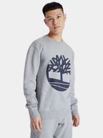Худи и свитшоты Timberland Core Logo модель TB0A2BJ8AR2 Фото