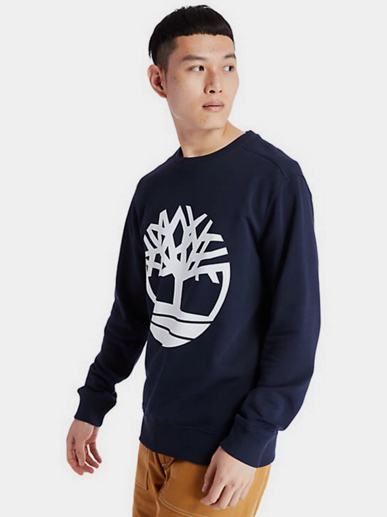 Худи и свитшоты Timberland Core Logo модель TB0A2BJ8U10 Худи и свитшоты Timberland Core Logo модель TB0A2BJ8U10 Фото