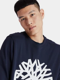 Худи и свитшоты Timberland Core Logo модель TB0A2BJ8U10 Фото