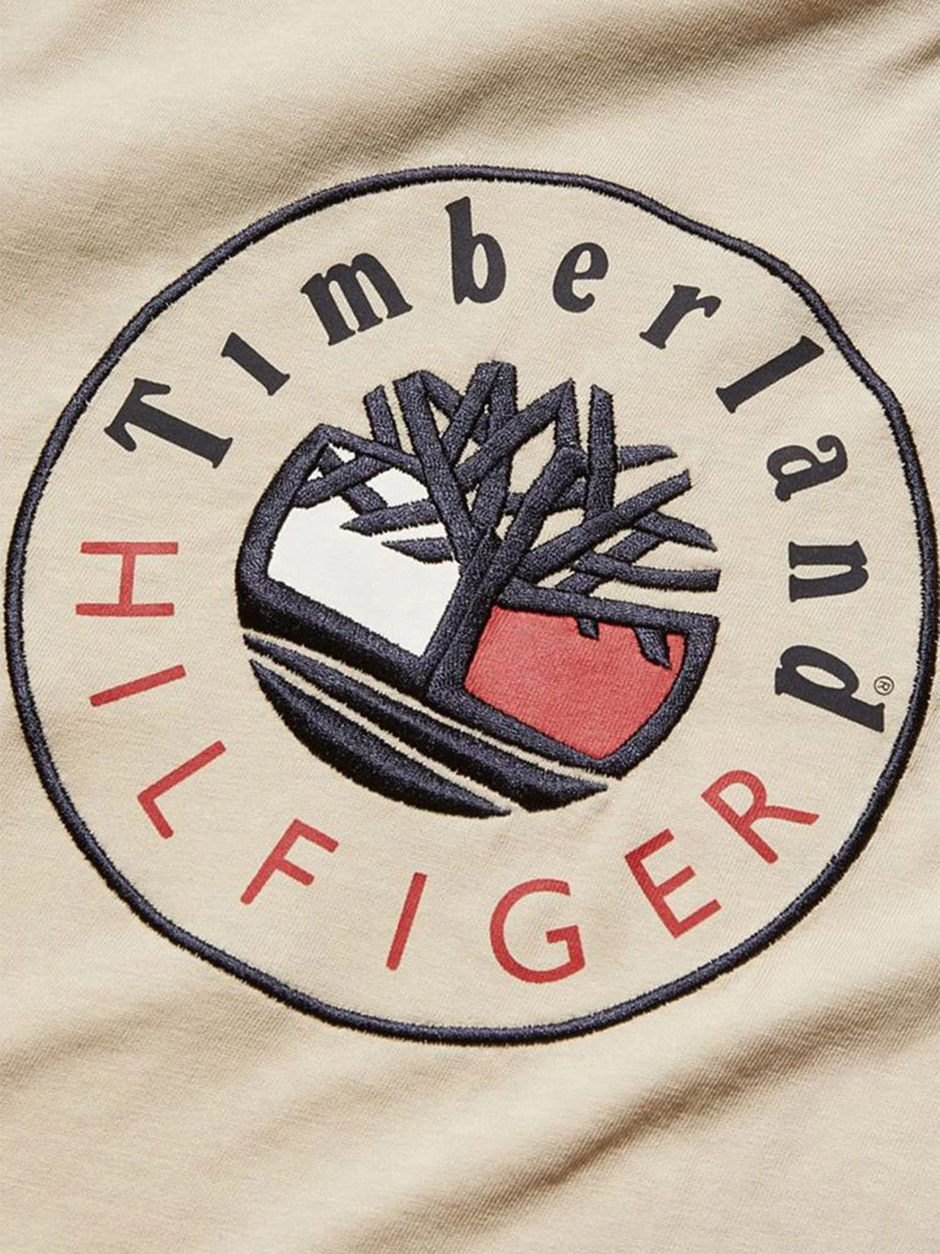 Футболки і поло Timberland x Tommy модель TB0A5P2MCT3 Футболки і поло Timberland x Tommy модель TB0A5P2MCT3 Фото