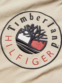Футболки і поло Timberland x Tommy модель TB0A5P2MCT3 Фото