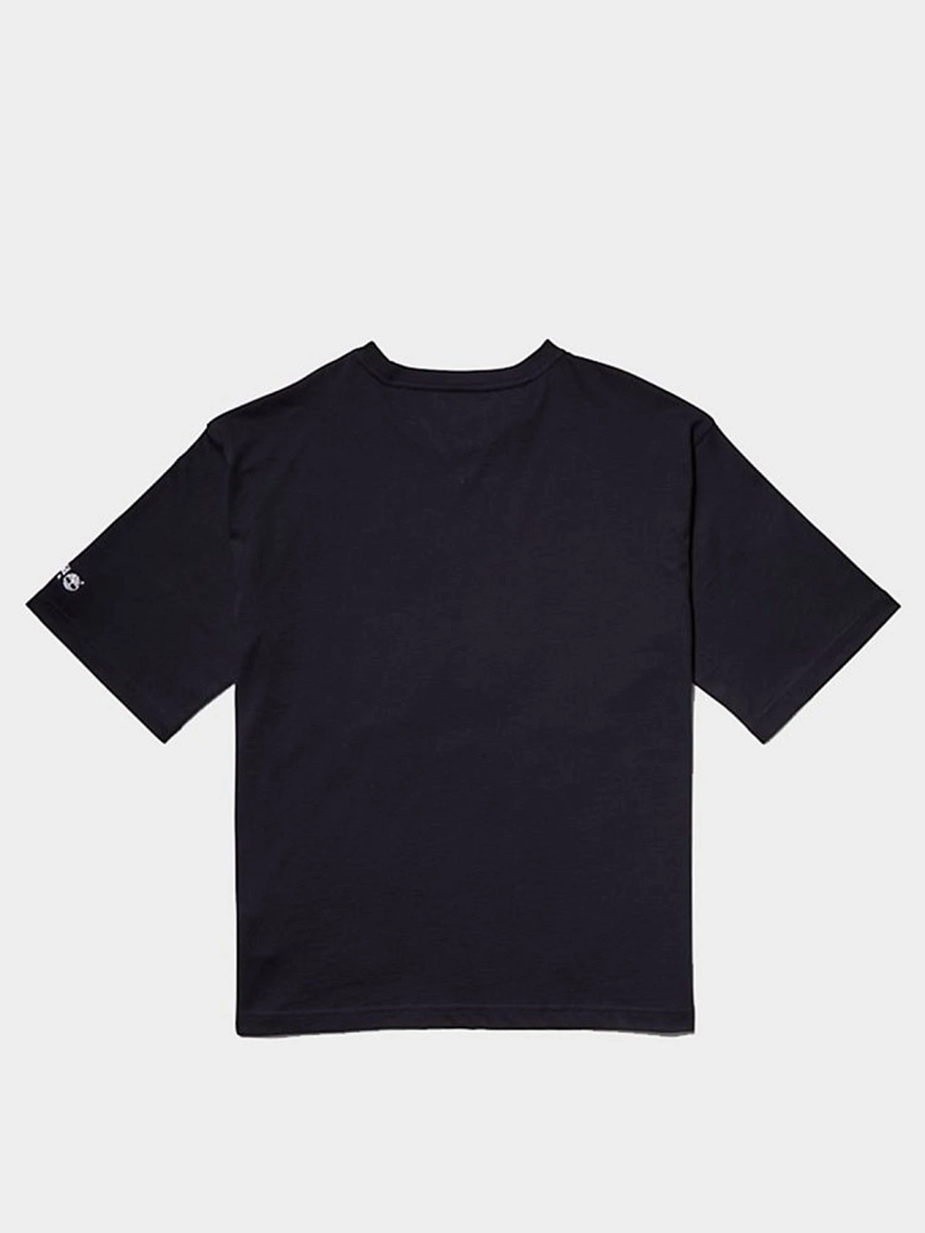 Футболки і поло Timberland x Tommy модель TB0A5P2MCT0 Футболки і поло Timberland x Tommy модель TB0A5P2MCT0 Фото