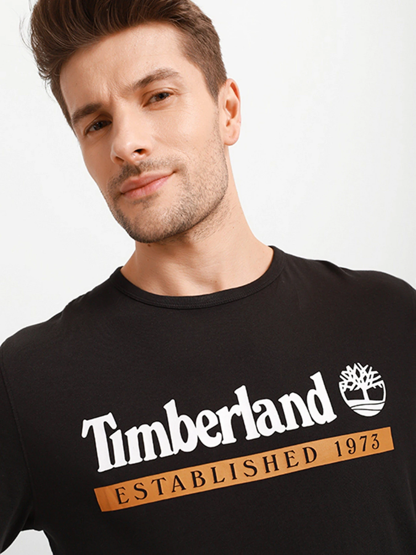 Худи и свитшоты Timberland Established 1973 модель TB0A2AWKP56 Фото
