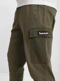 Брюки Timberland модель TB0A22BBA58 Фото