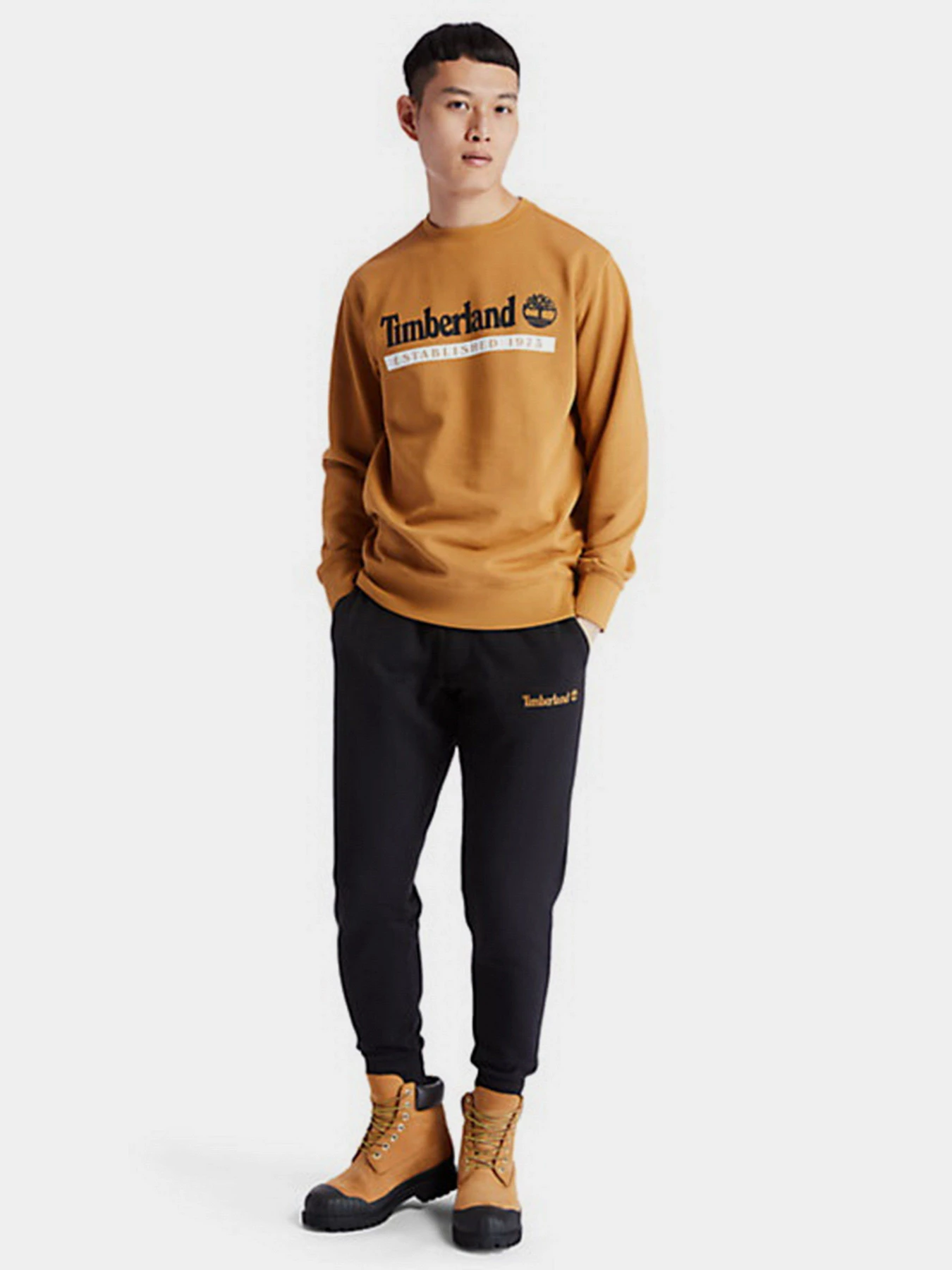 Брюки Timberland Established 1973 модель TB0A2AN4P56 Фото