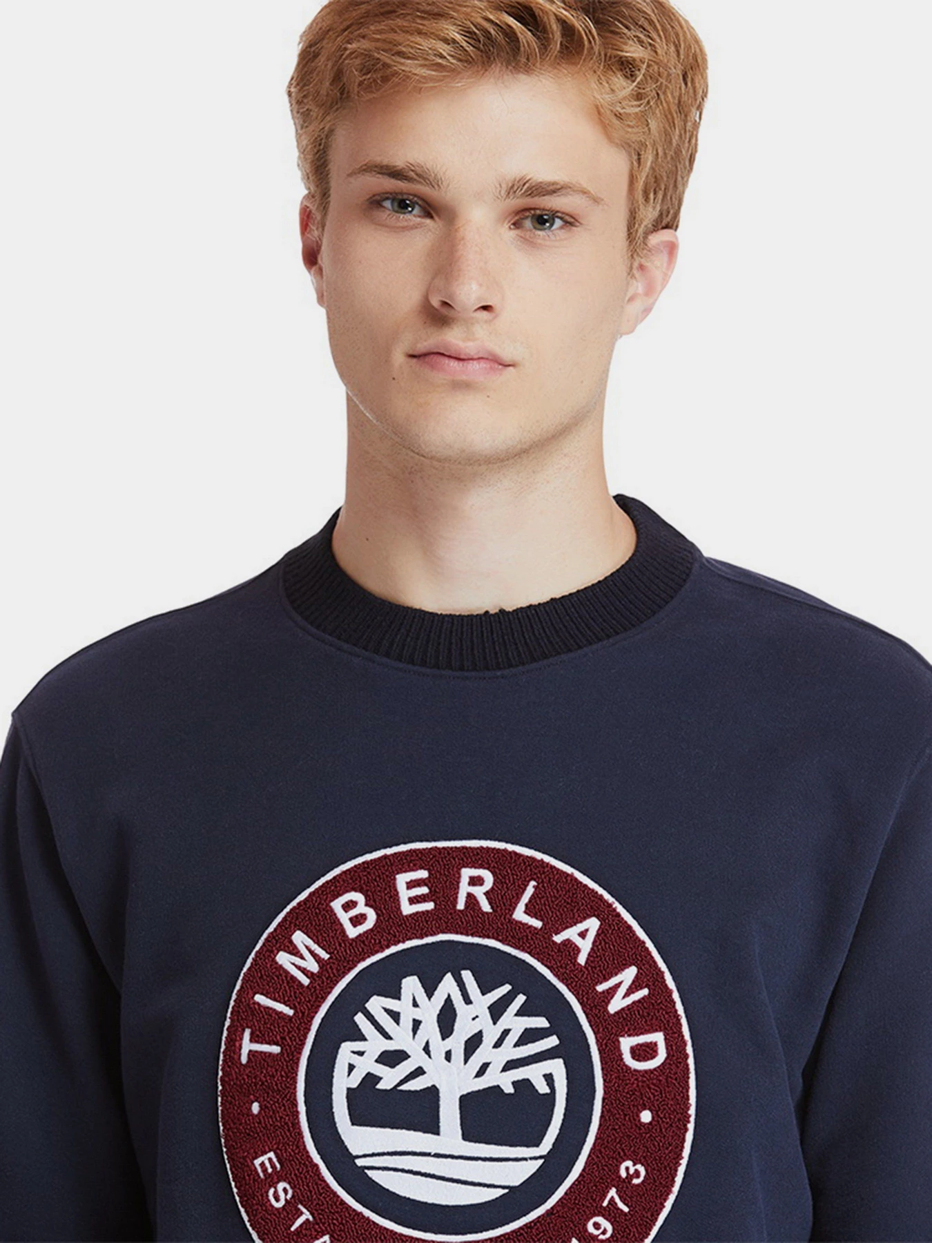 Худи и свитшоты Timberland COLD RIVER модель TB0A2CQ2433 Худи и свитшоты Timberland COLD RIVER модель TB0A2CQ2433 Фото