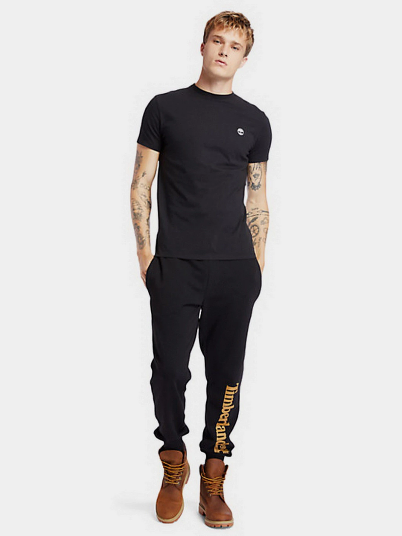 Брюки Timberland CORE TREE LOGO PULL-OVER модель TB0A2BVFP56 Фото