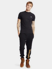 Брюки Timberland CORE TREE LOGO PULL-OVER модель TB0A2BVFP56 Фото