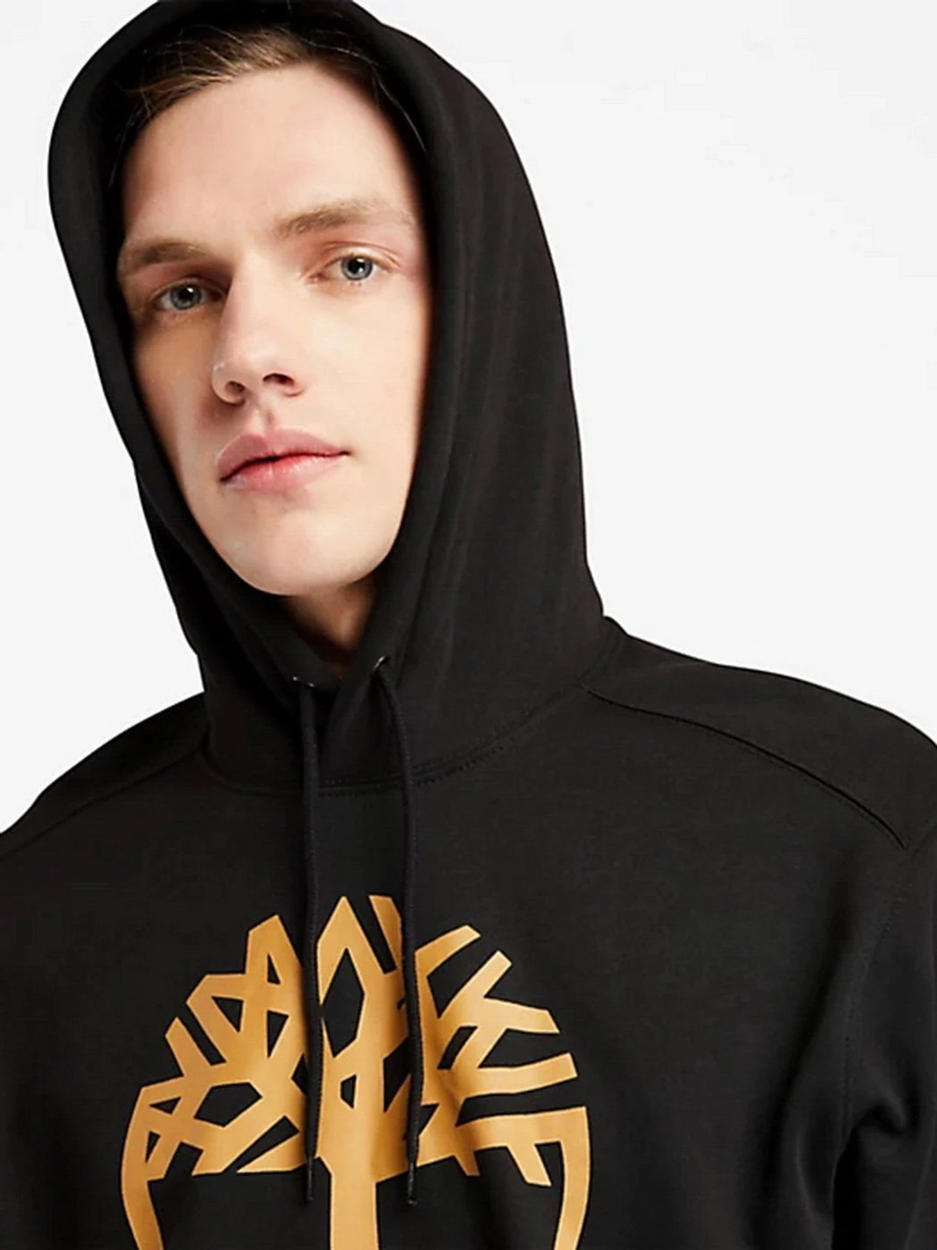 Худи и свитшоты Timberland Core Tree Logo модель TB0A2BJHP56 Худи и свитшоты Timberland Core Tree Logo модель TB0A2BJHP56 Фото