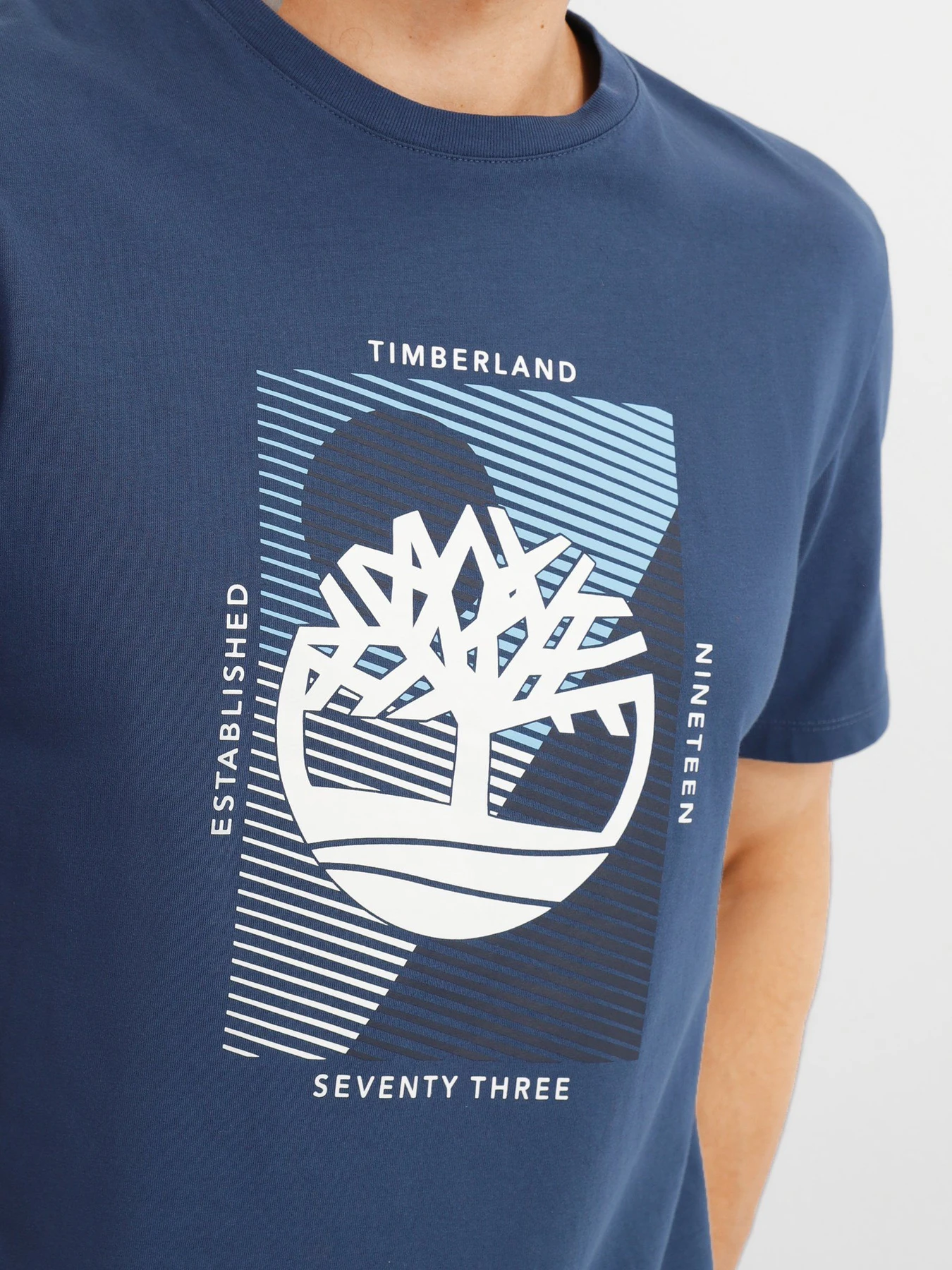 Футболки і поло Timberland Tree-Logo модель TB0A26TE288 Футболки і поло Timberland Tree-Logo модель TB0A26TE288 Фото
