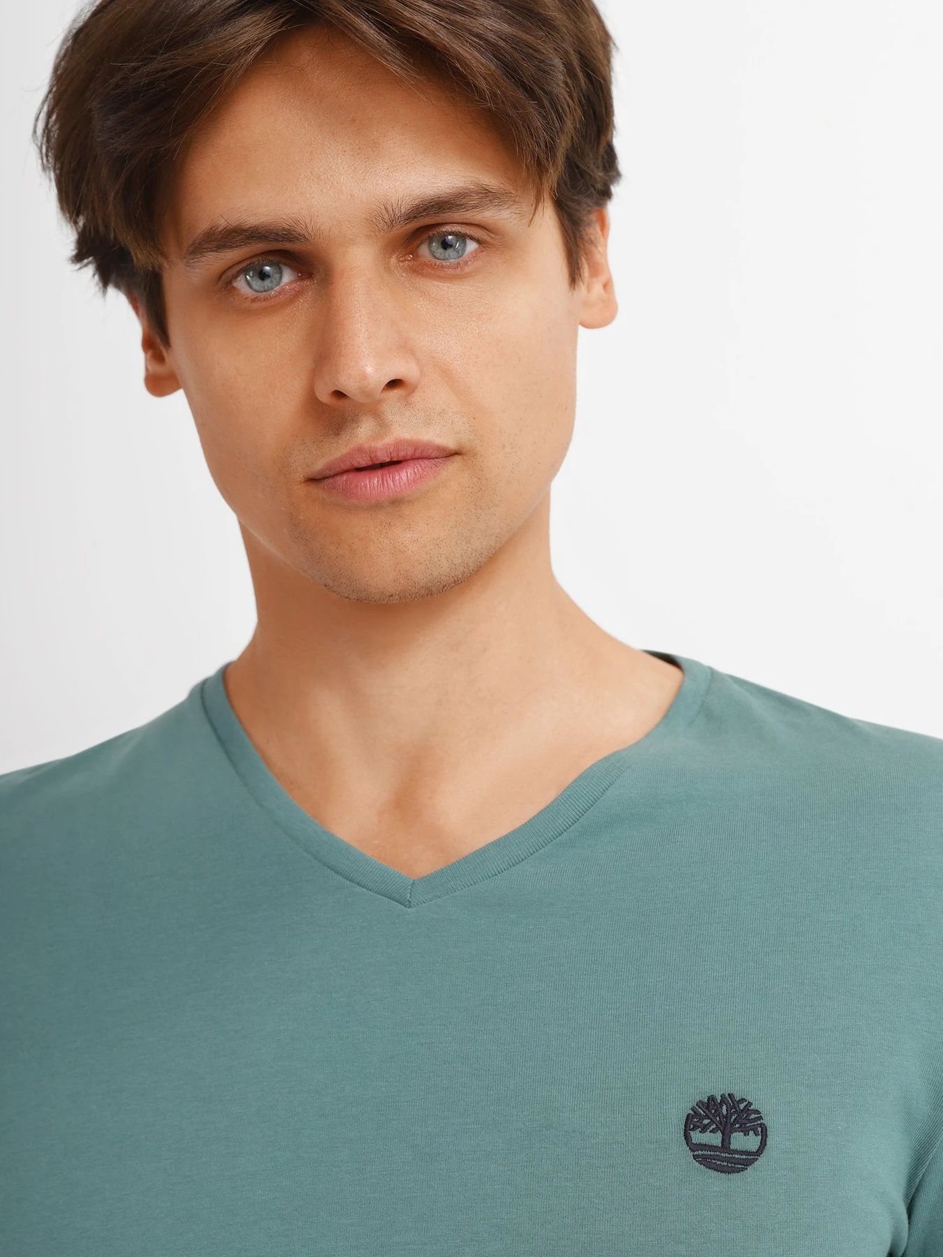 Футболки и поло Timberland Dunstan River V-Neck модель TB0A2BPTCL6 Футболки и поло Timberland Dunstan River V-Neck модель TB0A2BPTCL6 Фото