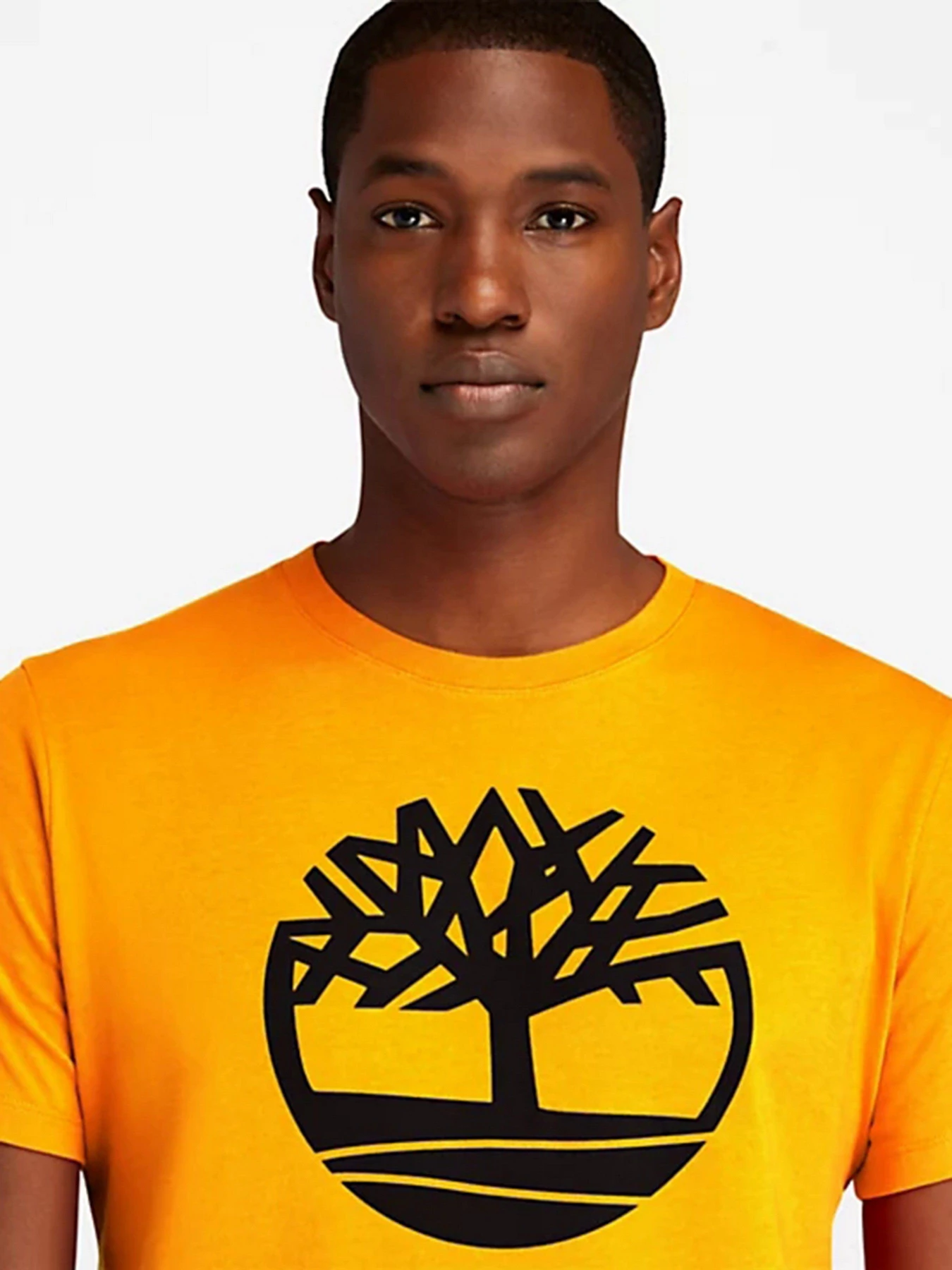 Футболки і поло Timberland Kennebec River Tree Logo модель TB0A2C2R804 Футболки і поло Timberland Kennebec River Tree Logo модель TB0A2C2R804 Фото