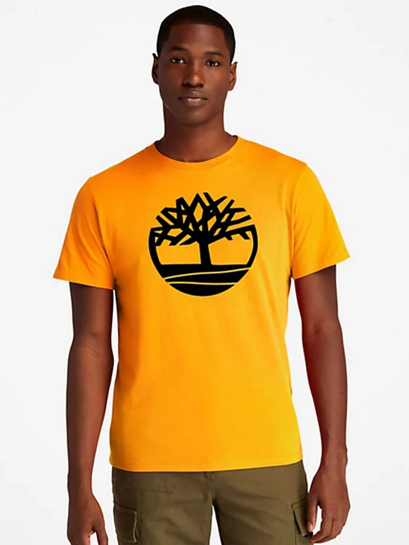 Футболки і поло Timberland Kennebec River Tree Logo модель TB0A2C2R804 Футболки і поло Timberland Kennebec River Tree Logo модель TB0A2C2R804 Фото