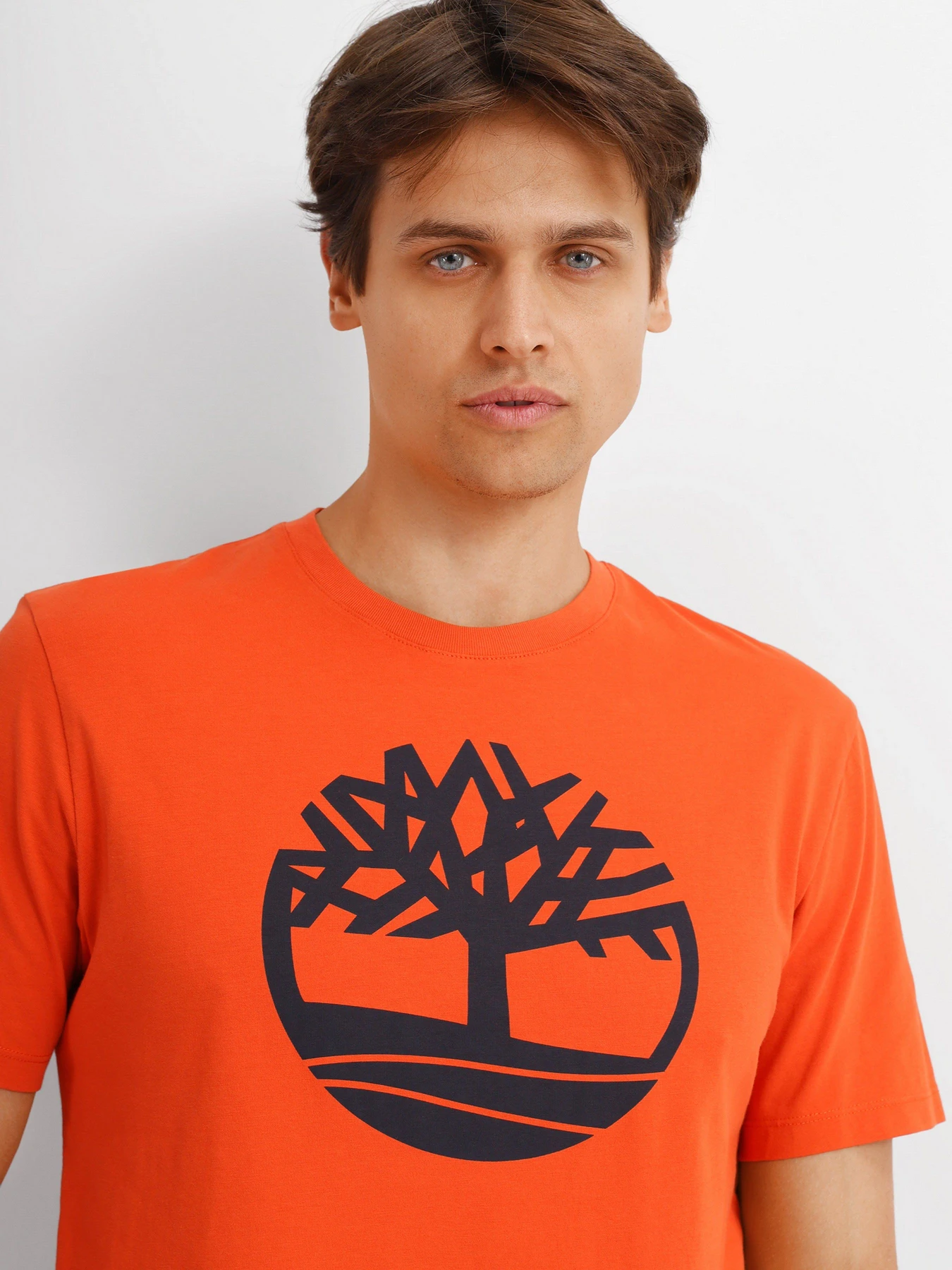 Футболки і поло Timberland Kennebec River Tree-Logo модель TB0A2C2RCL7 Футболки і поло Timberland Kennebec River Tree-Logo модель TB0A2C2RCL7 Фото
