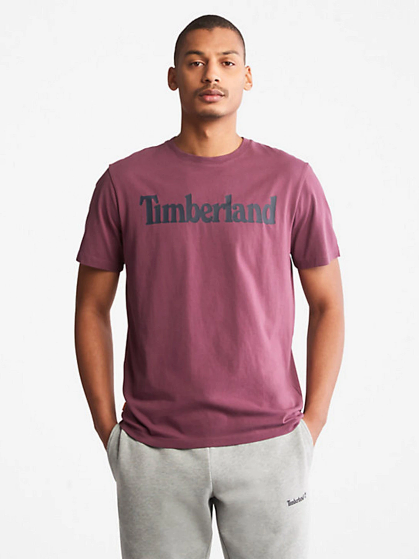 Футболки і поло Timberland модель TB0A2C31G69 Футболки і поло Timberland модель TB0A2C31G69 Фото