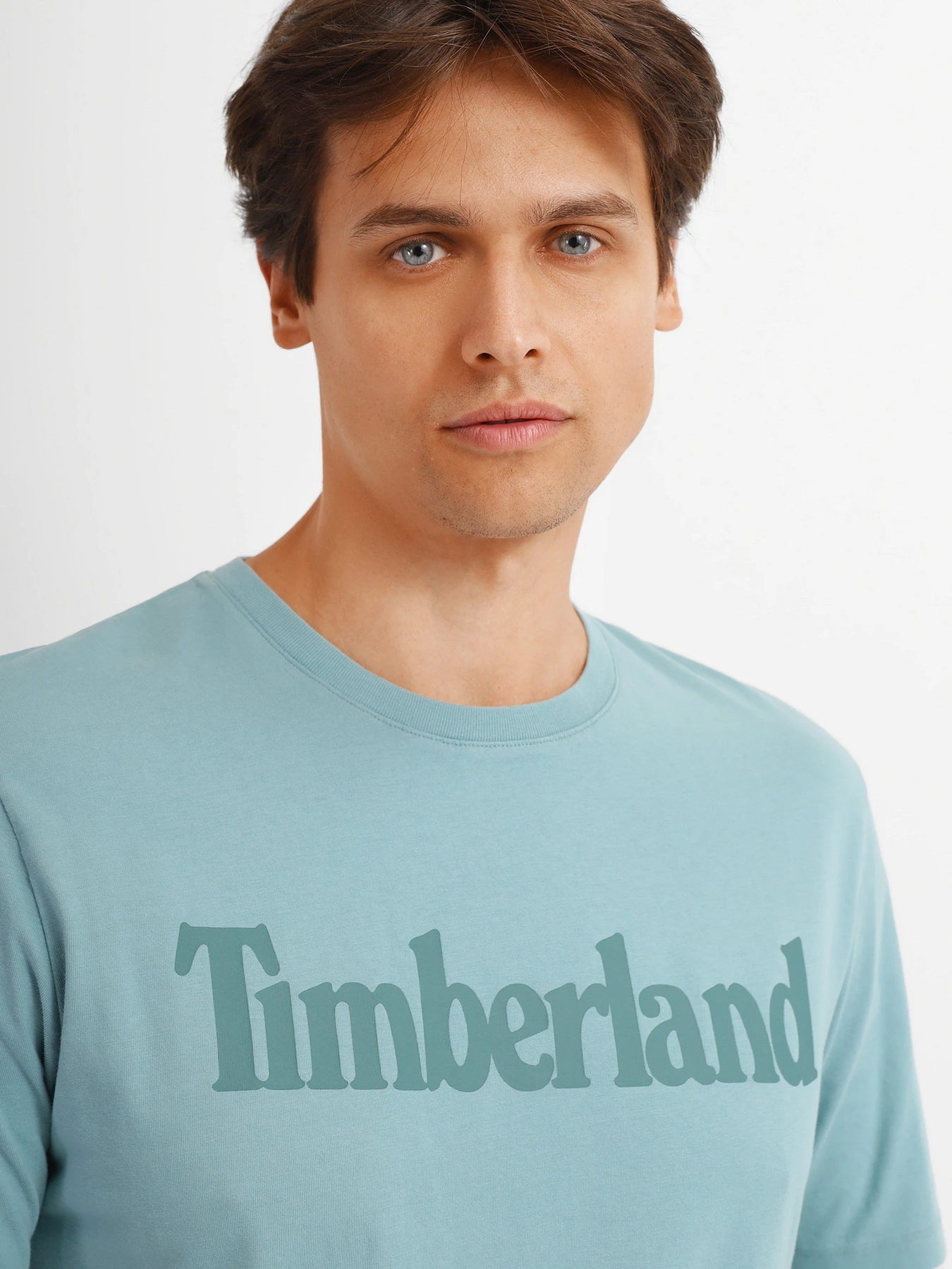 Футболки і поло Timberland Kennebec River Logo модель TB0A2C31G99 Футболки і поло Timberland Kennebec River Logo модель TB0A2C31G99 Фото