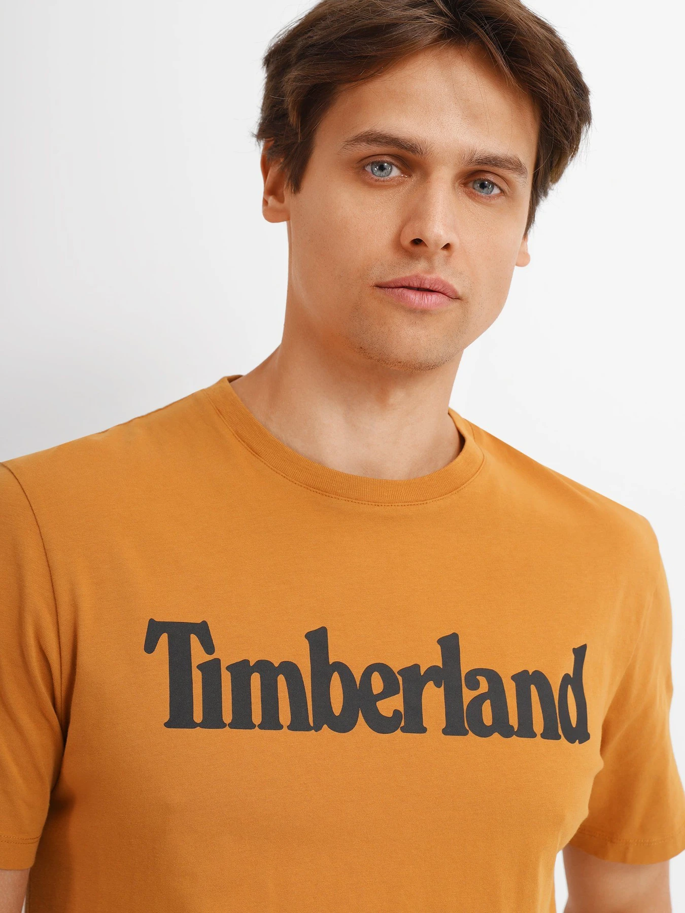 Футболки і поло Timberland Kennebec River Tree Logo модель TB0A2C31P47 Фото