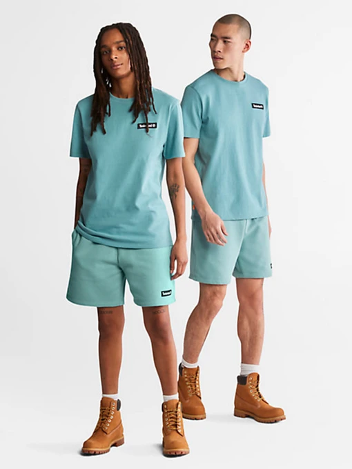 Футболки і поло Timberland Heavyweight Badge модель TB0A26S7G99 Фото