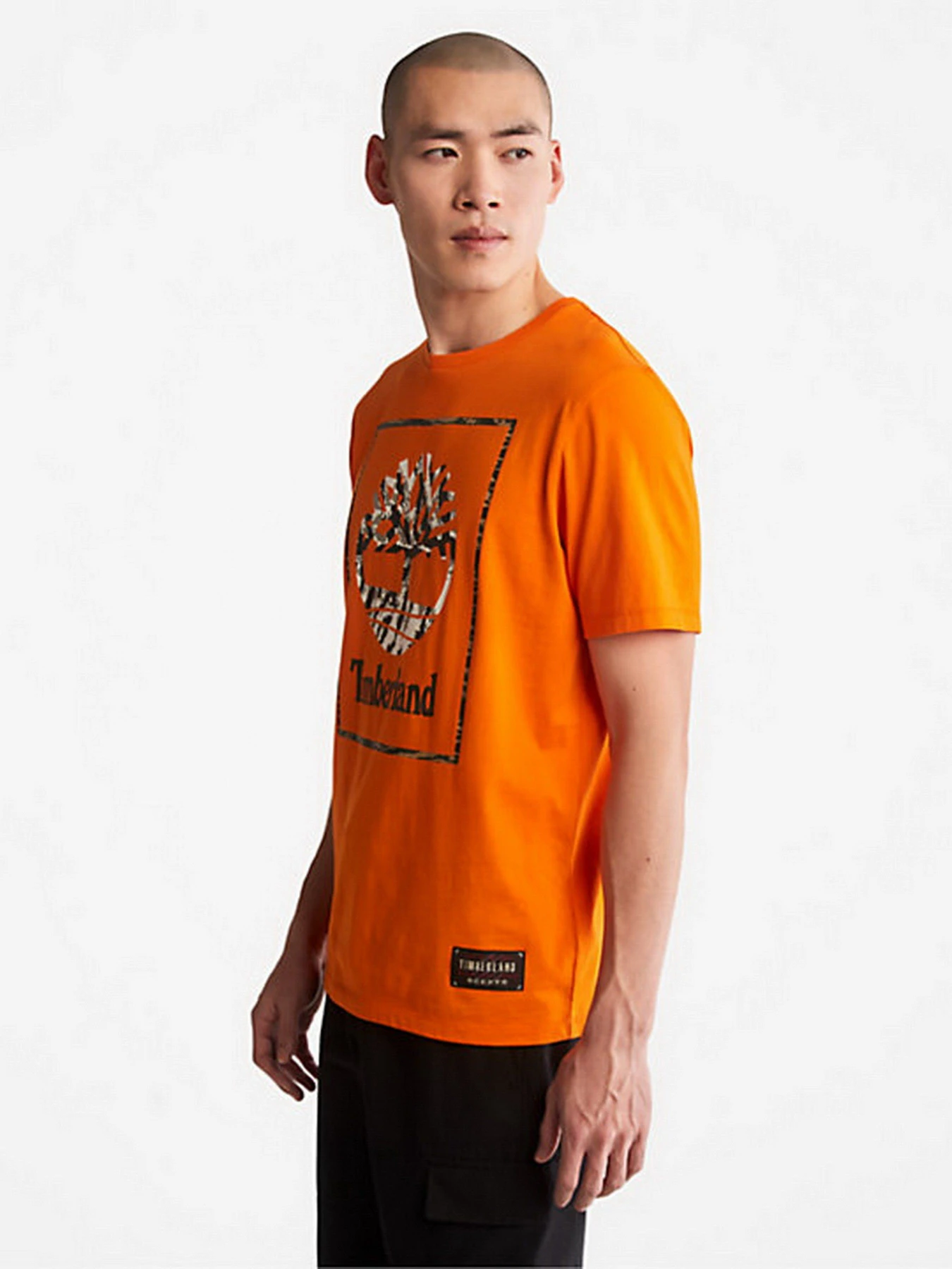 Футболки і поло Timberland Year Of The Tiger модель TB0A27GPU37 Футболки і поло Timberland Year Of The Tiger модель TB0A27GPU37 Фото