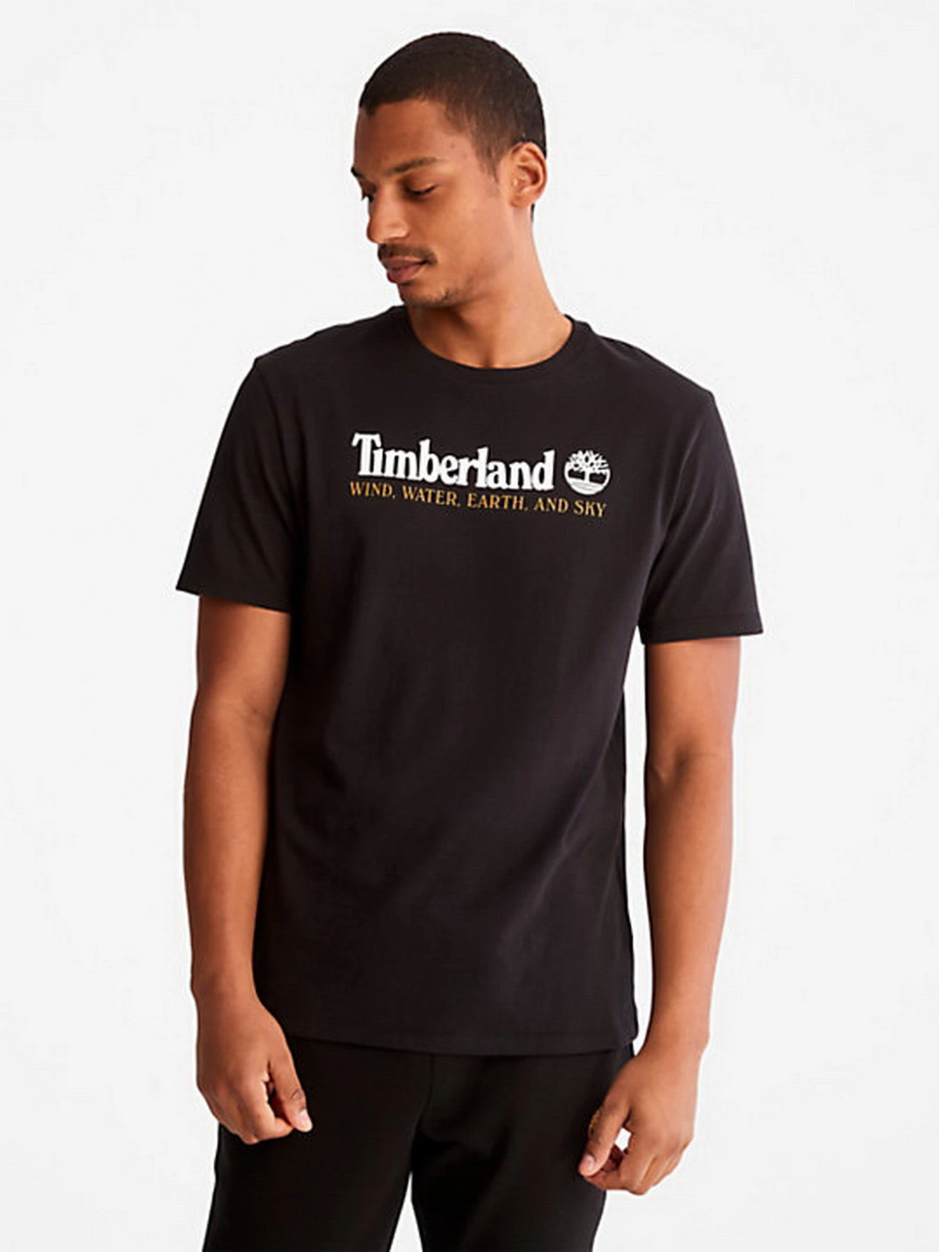 Футболки и поло Timberland Front Graphic модель TB0A27J8001 Футболки и поло Timberland Front Graphic модель TB0A27J8001 Фото
