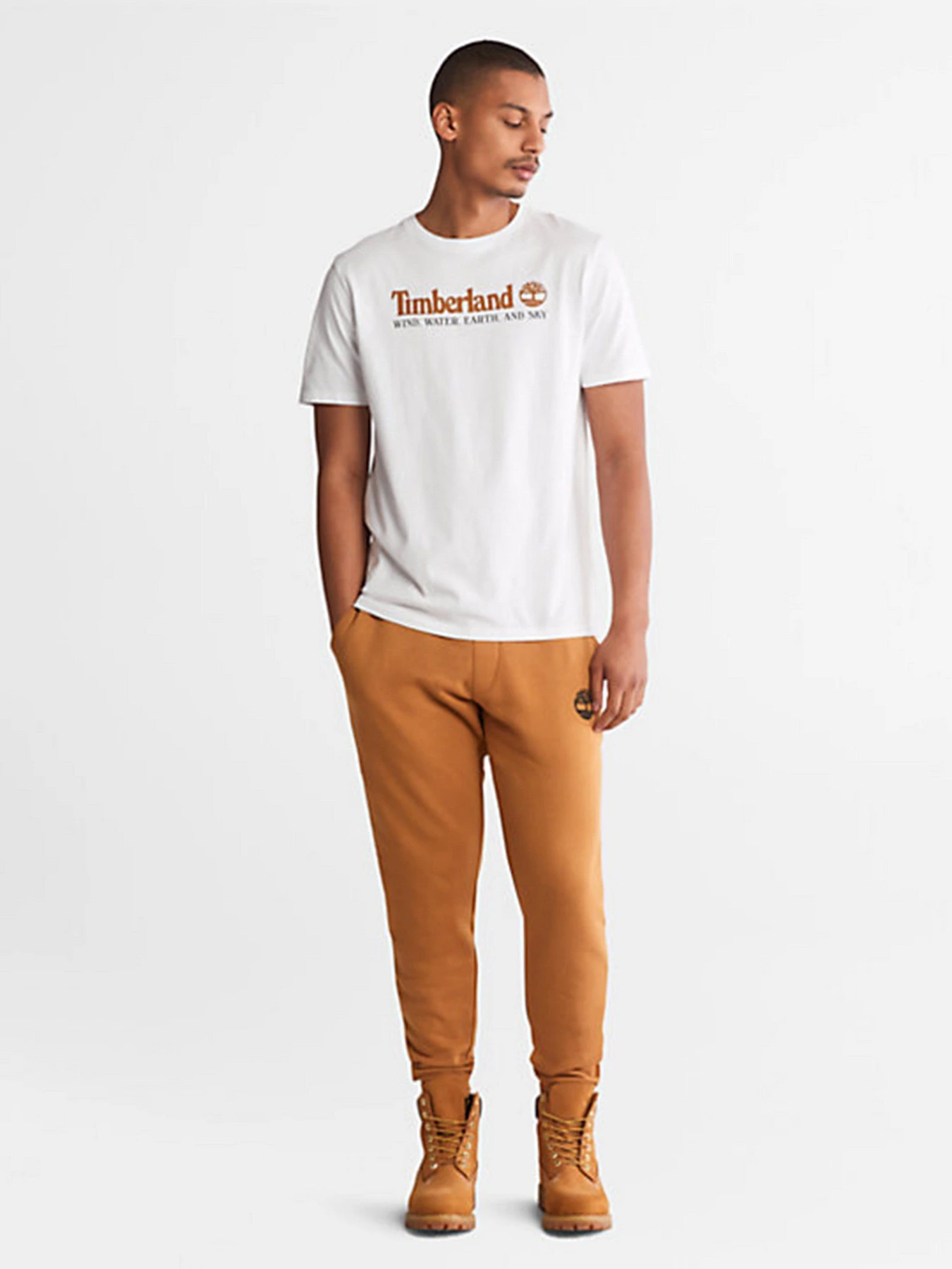 Футболки и поло Timberland Front Graphic модель TB0A27J8100 Футболки и поло Timberland Front Graphic модель TB0A27J8100 Фото
