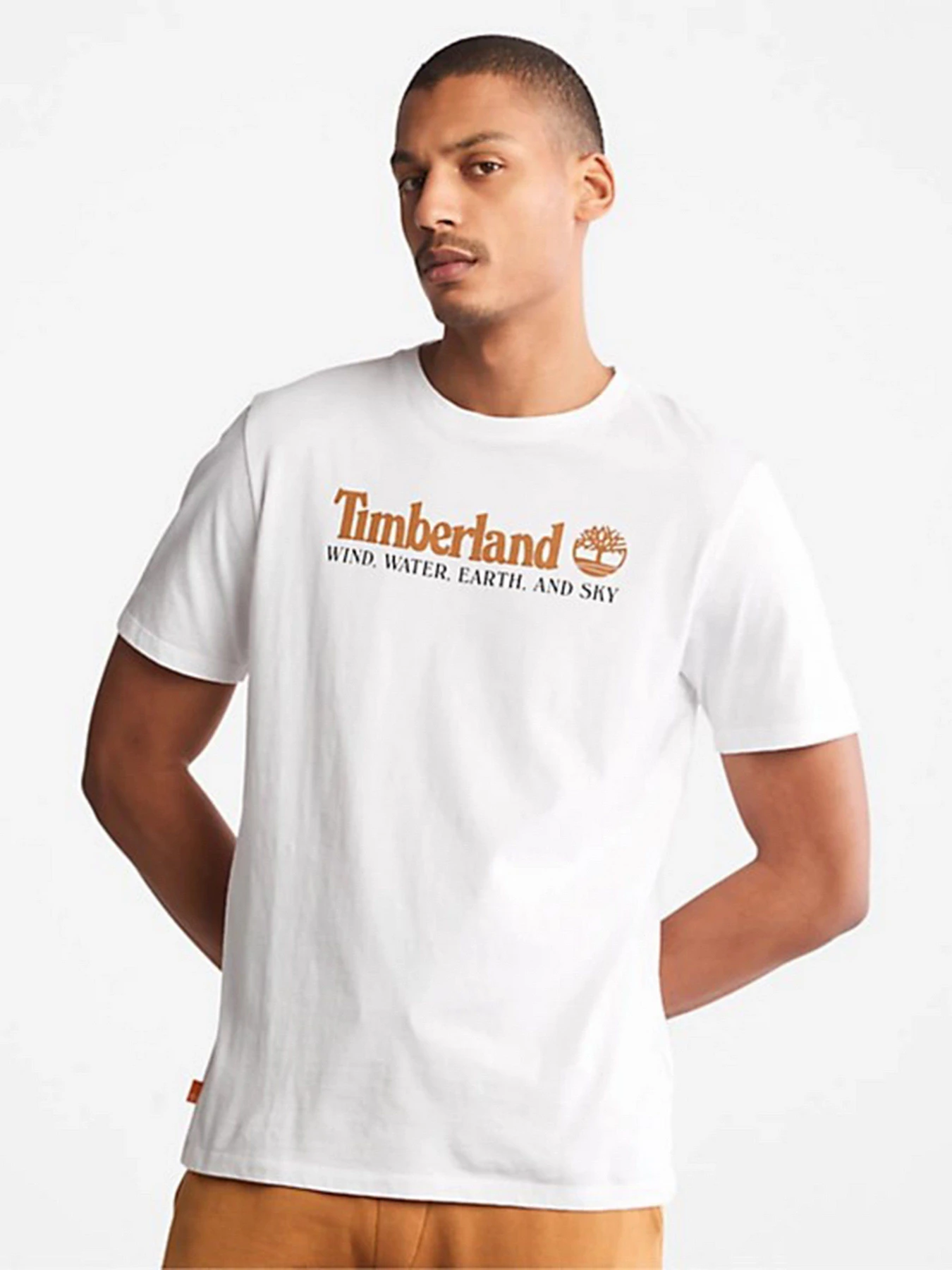 Футболки и поло Timberland Front Graphic модель TB0A27J8100 Футболки и поло Timberland Front Graphic модель TB0A27J8100 Фото