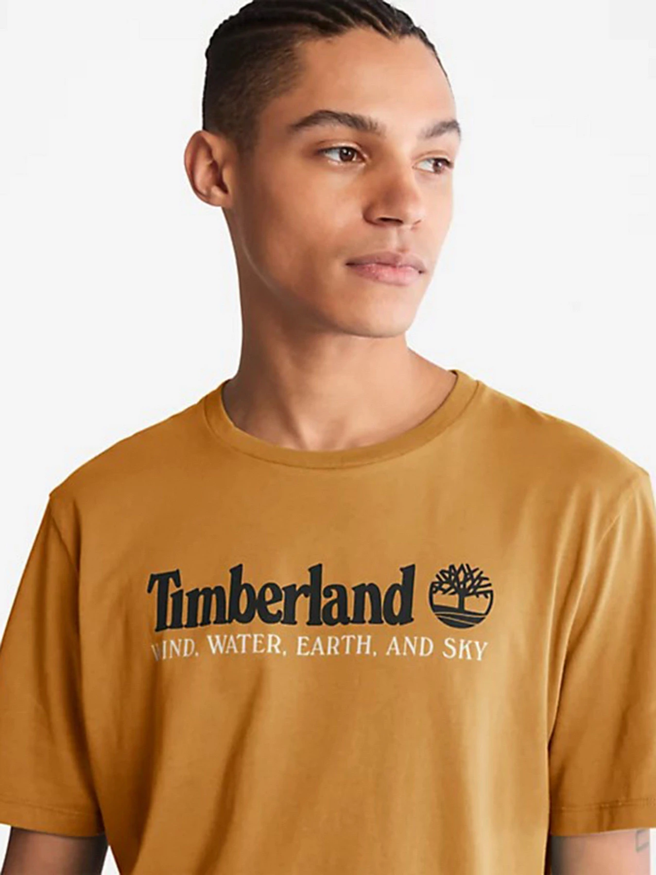 Футболки и поло Timberland Front Graphic модель TB0A27J8P47 Футболки и поло Timberland Front Graphic модель TB0A27J8P47 Фото
