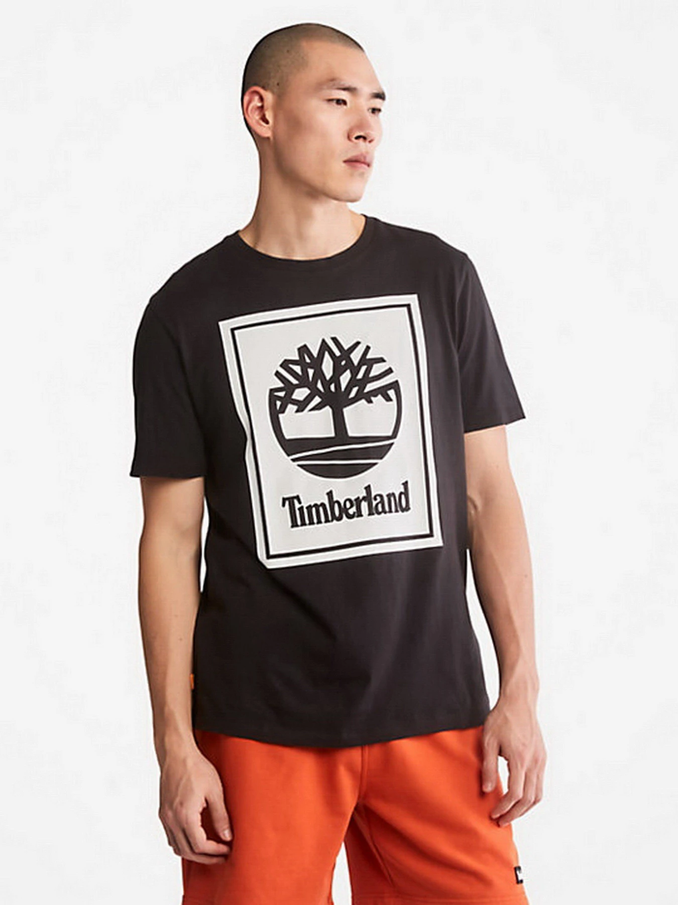 Футболки і поло Timberland Tree Logo модель TB0A2AJ1N92 Футболки і поло Timberland Tree Logo модель TB0A2AJ1N92 Фото