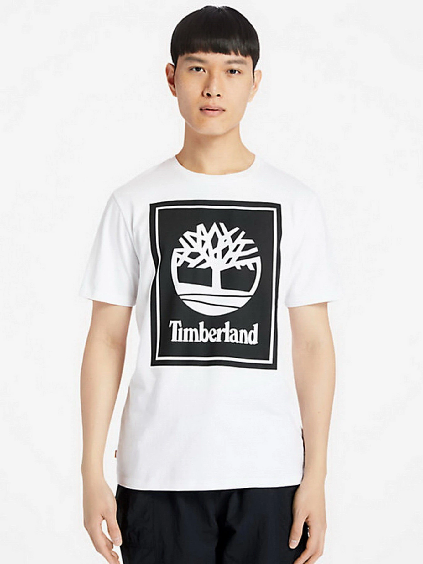 Футболки і поло Timberland Tree Logo модель TB0A2AJ1P54 Футболки і поло Timberland Tree Logo модель TB0A2AJ1P54 Фото