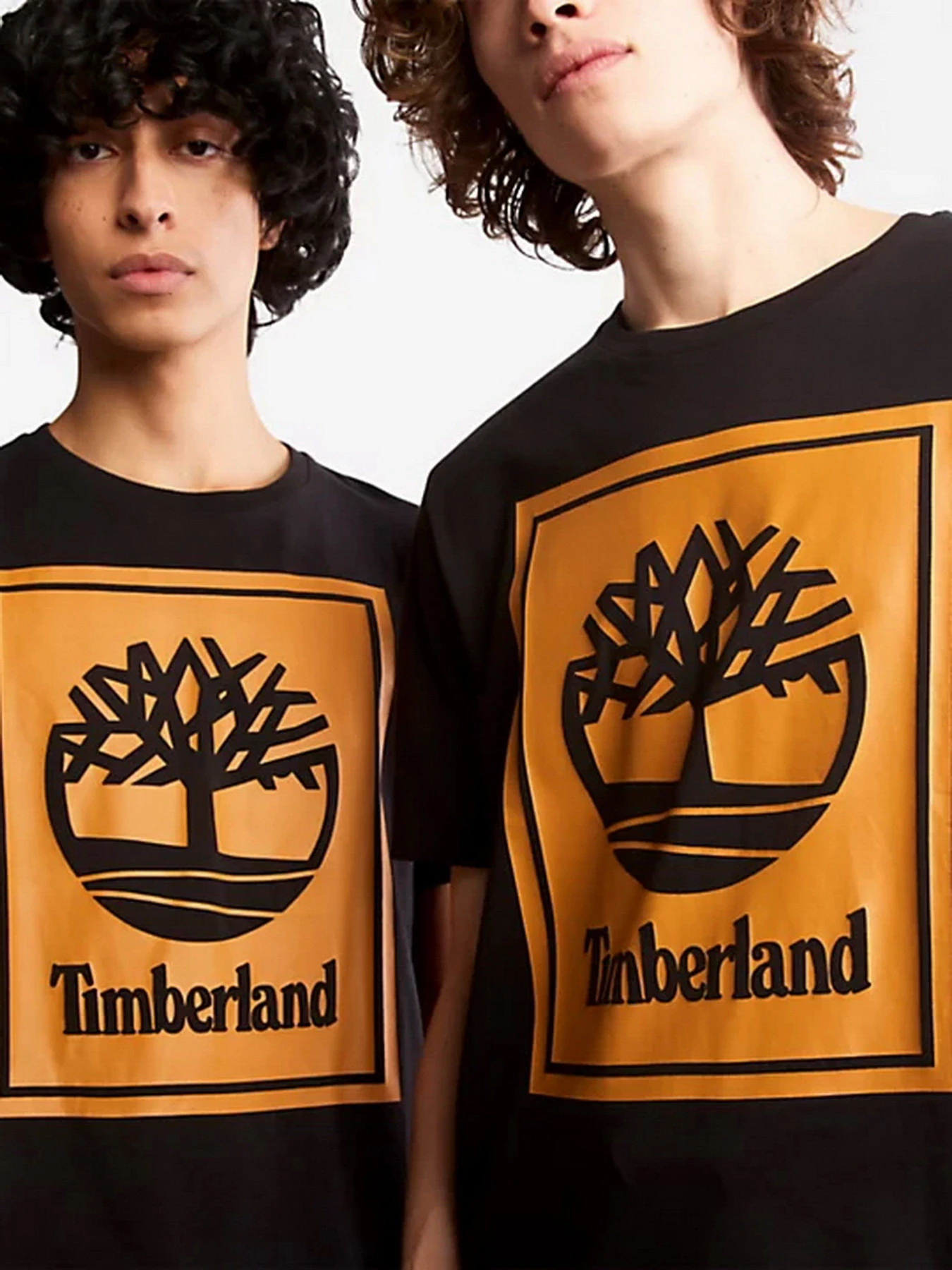 Футболки і поло Timberland Tree Logo модель TB0A2AJ1P56 Фото