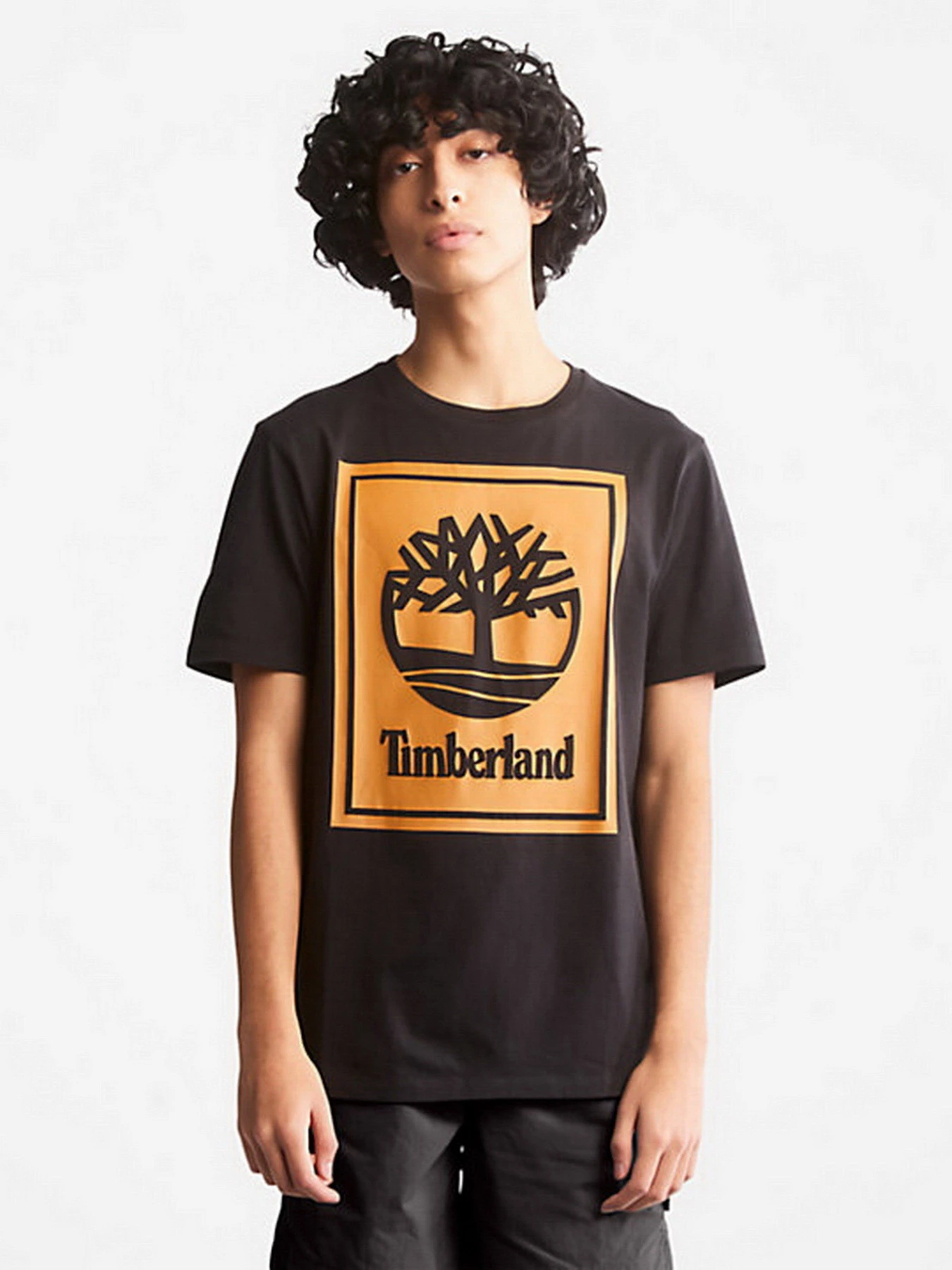 Футболки і поло Timberland Tree Logo модель TB0A2AJ1P56 Фото