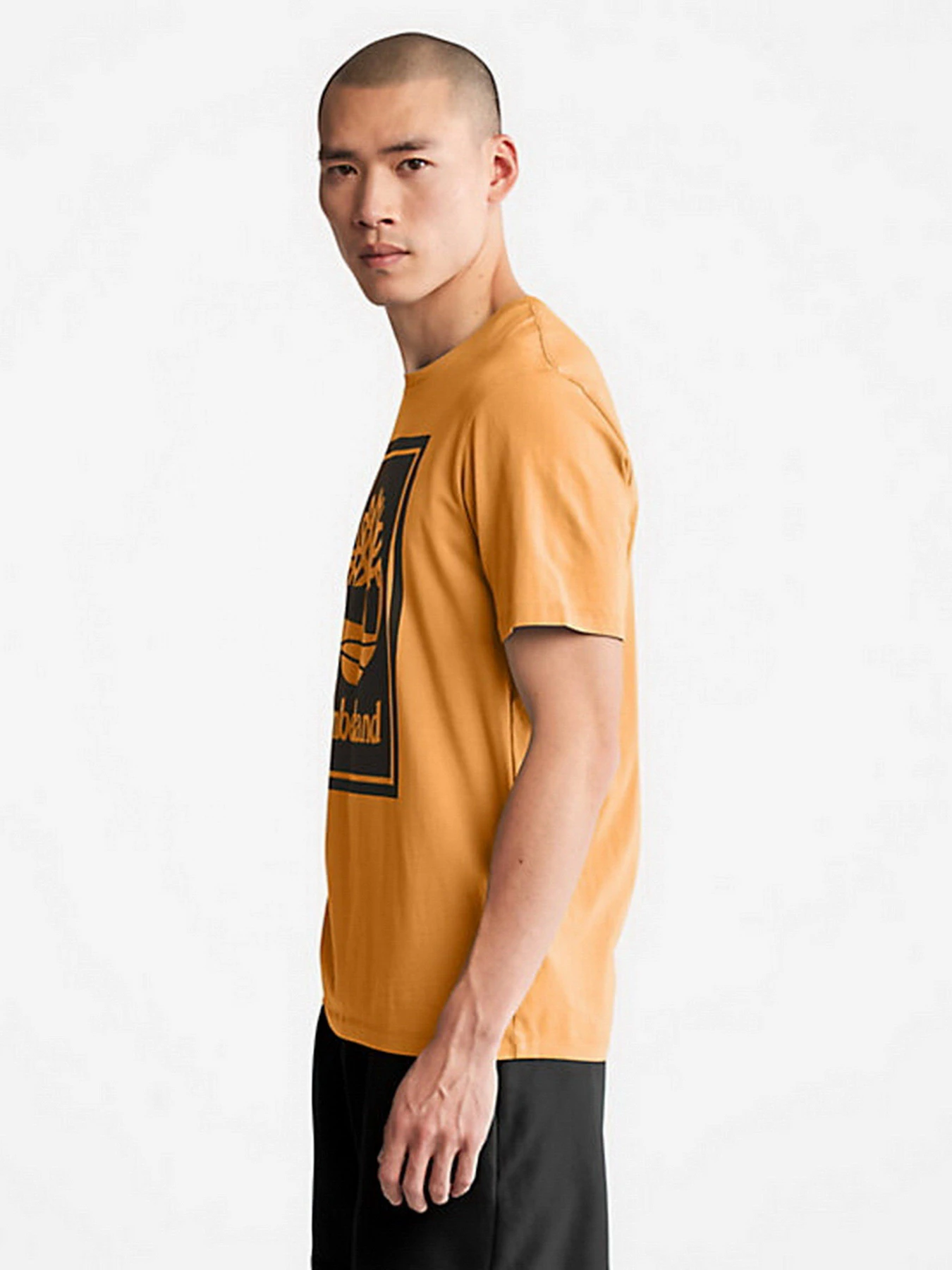 Футболки і поло Timberland Tree Logo модель TB0A2AJ1P57 Футболки і поло Timberland Tree Logo модель TB0A2AJ1P57 Фото