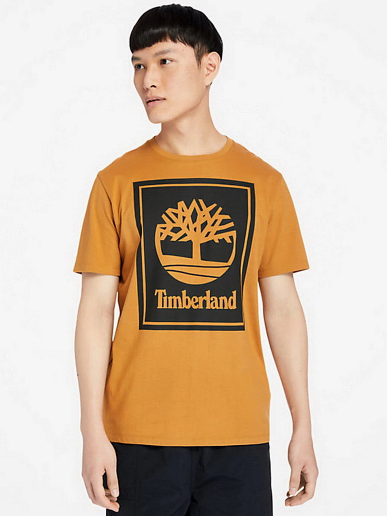 Футболки і поло Timberland Tree Logo модель TB0A2AJ1P57 Футболки і поло Timberland Tree Logo модель TB0A2AJ1P57 Фото