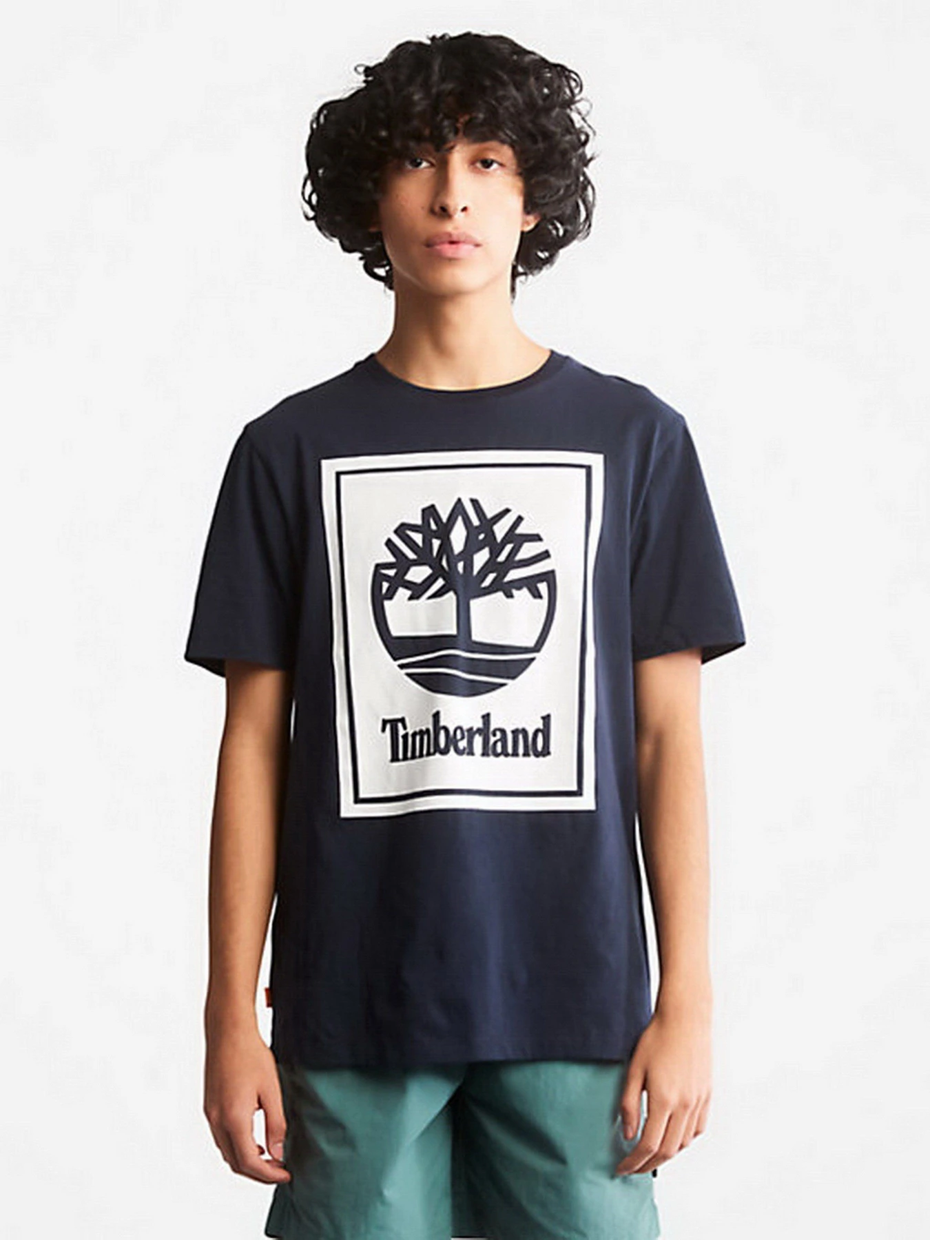 Футболки і поло Timberland Tree Logo модель TB0A2AJ1U10 Футболки і поло Timberland Tree Logo модель TB0A2AJ1U10 Фото