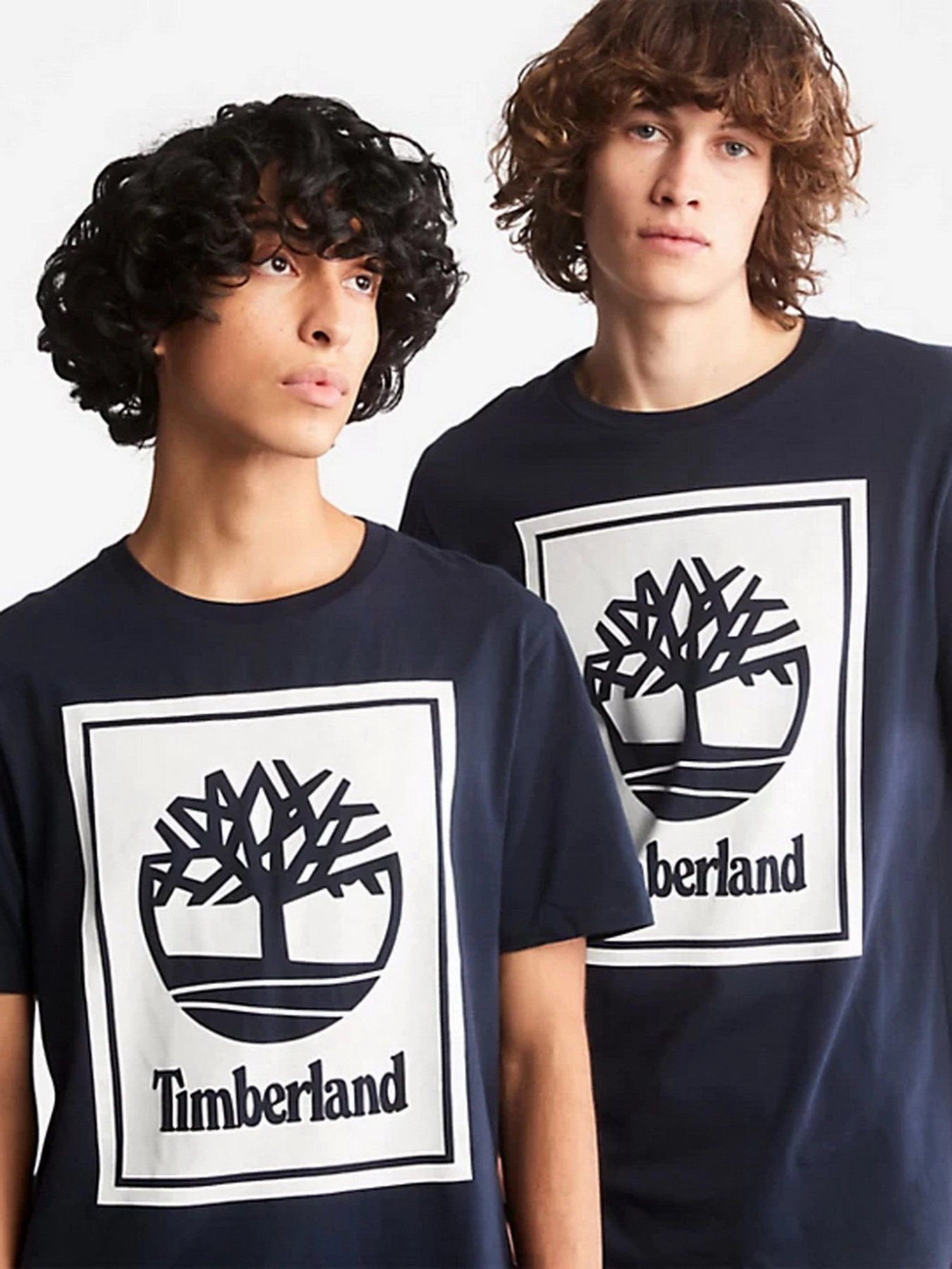 Футболки і поло Timberland Tree Logo модель TB0A2AJ1U10 Футболки і поло Timberland Tree Logo модель TB0A2AJ1U10 Фото