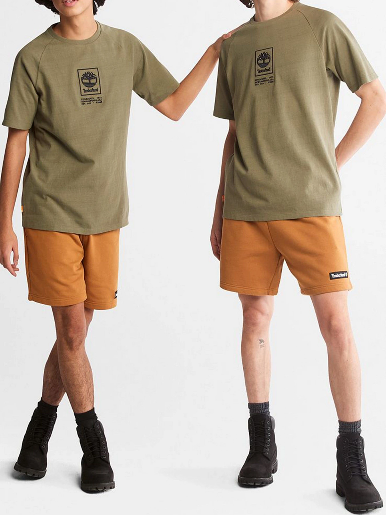 Футболки и поло Timberland модель TB0A2DVY590 Футболки и поло Timberland модель TB0A2DVY590 Фото