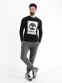 Брюки Timberland Exeter модель TB0A2CN7U14 Фото