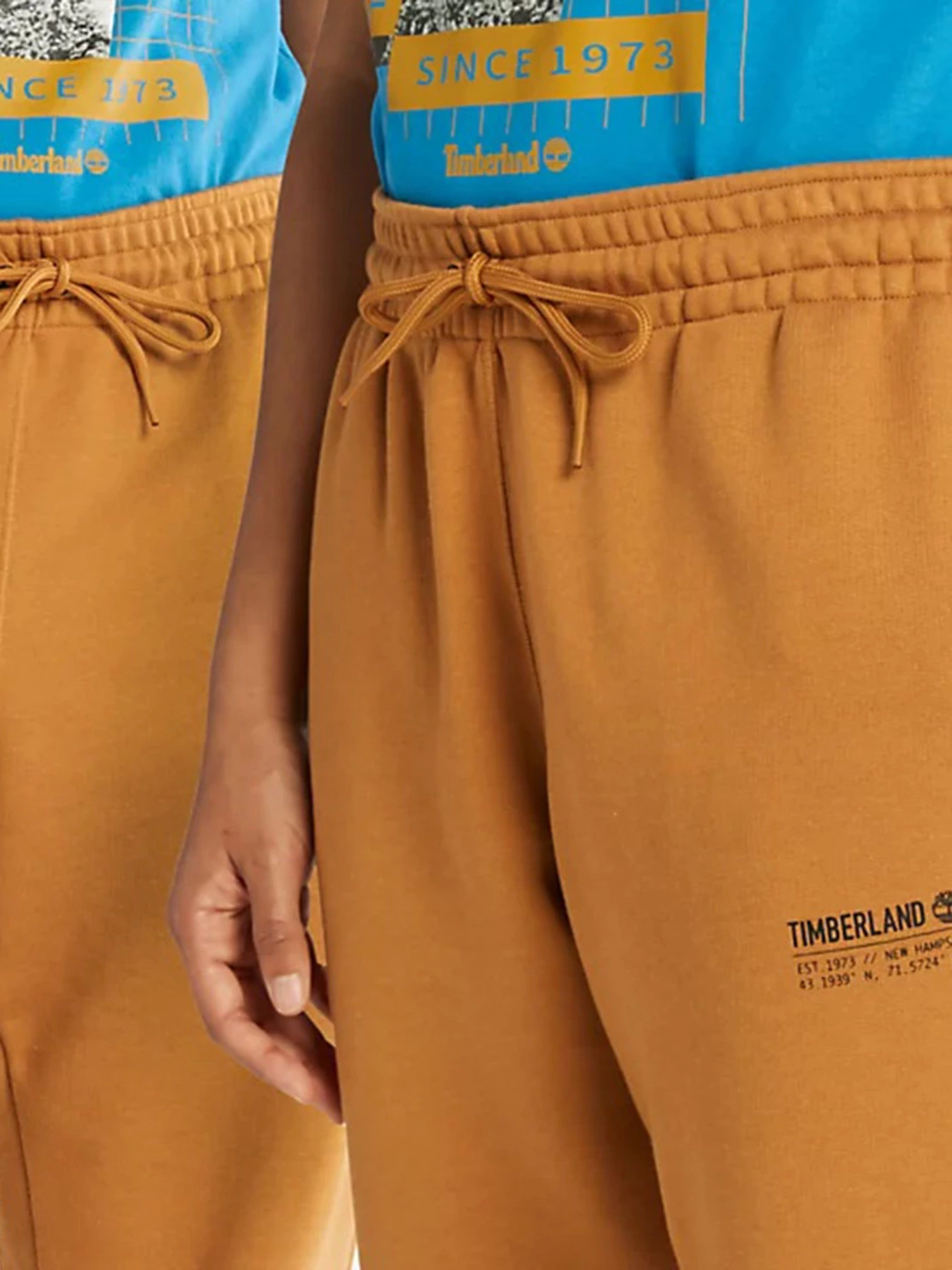 Брюки Timberland Comfort Luxe Essential модель TB0A5UHNP47 Брюки Timberland Comfort Luxe Essential модель TB0A5UHNP47 Фото