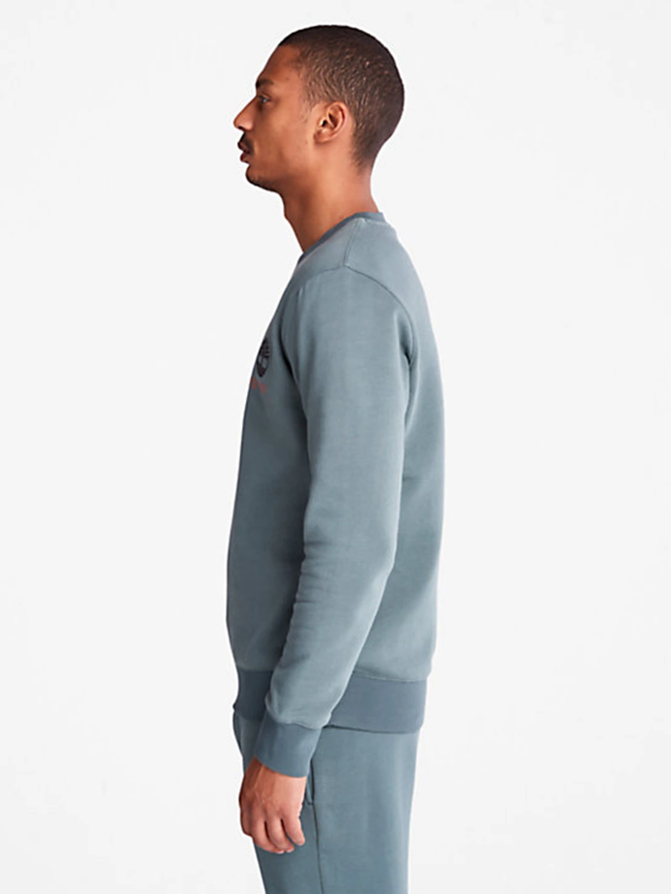 Худи и свитшоты Timberland Wind, Water, Earth And Sky Crewneck модель TB0A27HC392 Худи и свитшоты Timberland Wind, Water, Earth And Sky Crewneck модель TB0A27HC392 Фото