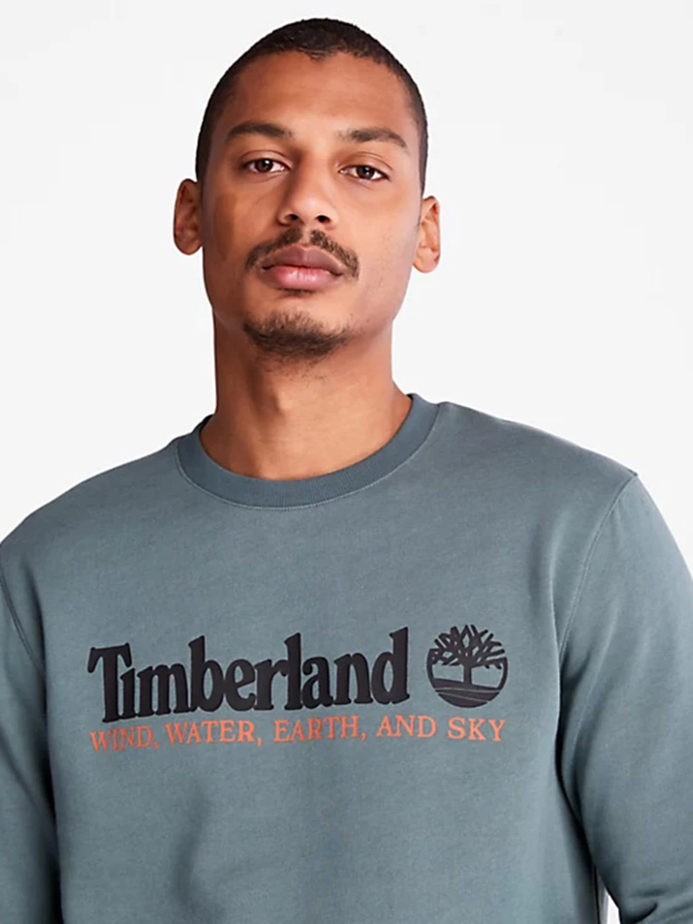 Худи и свитшоты Timberland Wind, Water, Earth And Sky Crewneck модель TB0A27HC392 Худи и свитшоты Timberland Wind, Water, Earth And Sky Crewneck модель TB0A27HC392 Фото